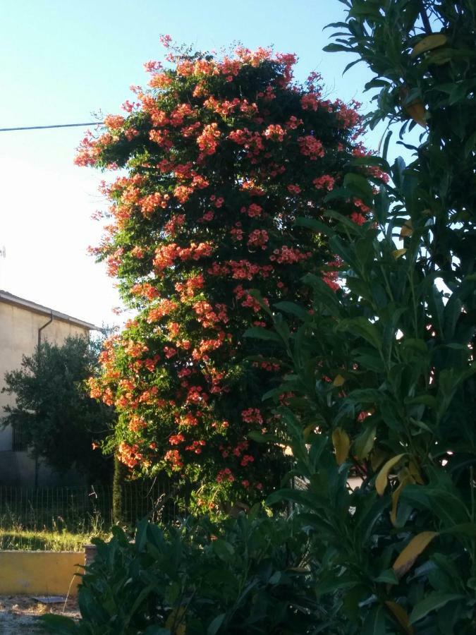 Appartamento Della Pia 贝瓦尼亚 外观 照片